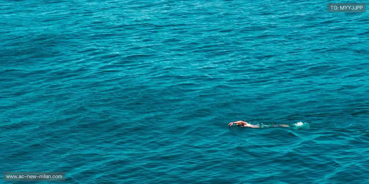 体育周边，冠军同款，你的专属装备库！🏆🎯