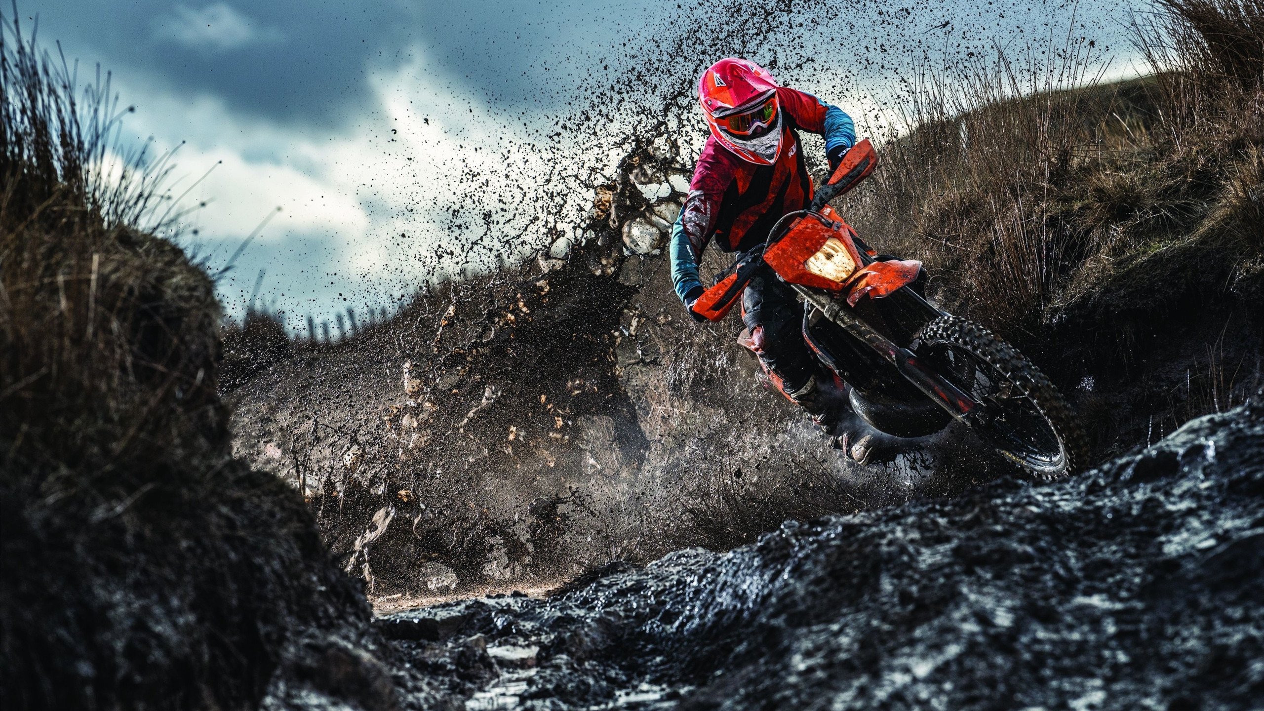 体育媒体行业发展趋势